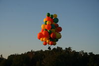 UNKNOWN @ FA08 - Cluster Balloon with lawn chair