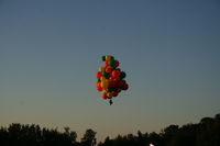 UNKNOWN @ FA08 - Cluster Balloon with lawn chair