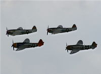 N1345B @ YIP - P-47D in formation