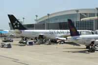 D-AIGC @ DFW - Star Alliance ( Lufthansa ) at the gate - DFW