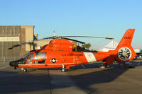 6533 @ EFD - USCG Dolphin at the Wings Over Houston Airshow