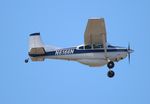 N6166N @ KLAL - Cessna A185F