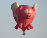 N53145 @ KLAL - When Pigs Fly