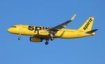N649NK @ KTPA - NKS A320 yellow zx FLL-TPA