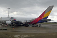 HL7640 - A388 - Asiana Airlines