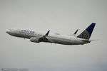 N77295 - B738 - United Airlines